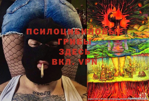 гидра Гусев