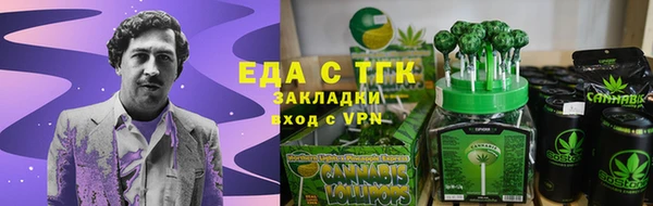 гидра Гусев