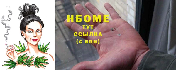 гидра Гусев