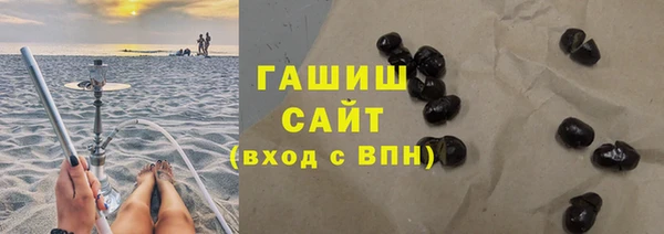 гидра Гусев