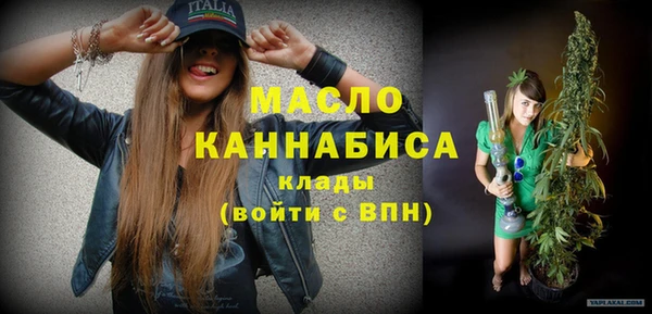 гидра Гусев