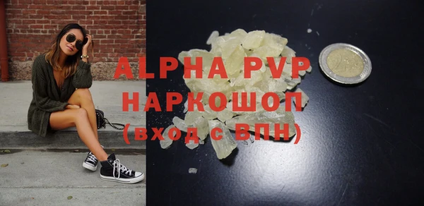 гидра Гусев